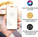 Airtag Dog Collar | Durable & Protective Dog Airtag Holder - Track Your Pet Using Apple Airtag Technology - Dog Collar Airtag Holder -For Dogs and Cats